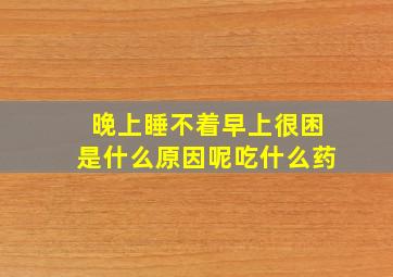 晚上睡不着早上很困是什么原因呢吃什么药