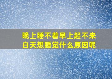 晚上睡不着早上起不来白天想睡觉什么原因呢