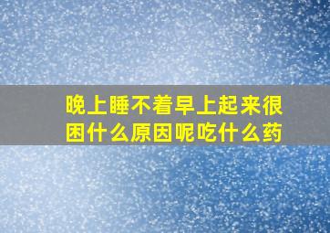 晚上睡不着早上起来很困什么原因呢吃什么药