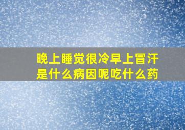 晚上睡觉很冷早上冒汗是什么病因呢吃什么药