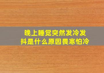 晚上睡觉突然发冷发抖是什么原因畏寒怕冷