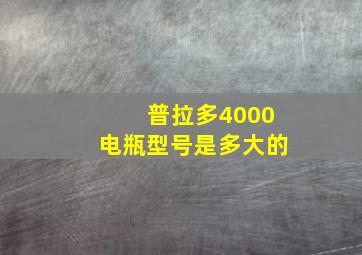 普拉多4000电瓶型号是多大的