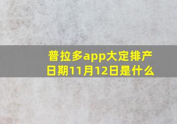 普拉多app大定排产日期11月12日是什么