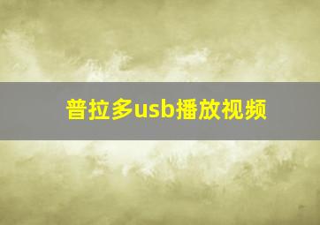 普拉多usb播放视频