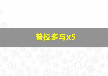 普拉多与x5