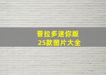 普拉多迷你版25款图片大全