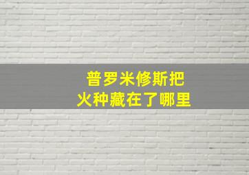 普罗米修斯把火种藏在了哪里