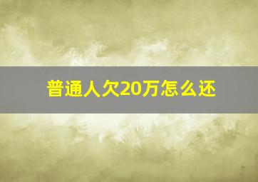 普通人欠20万怎么还