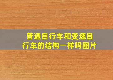 普通自行车和变速自行车的结构一样吗图片