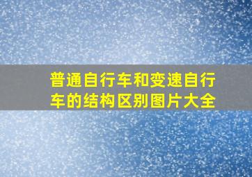 普通自行车和变速自行车的结构区别图片大全