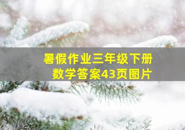 暑假作业三年级下册数学答案43页图片