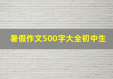 暑假作文500字大全初中生