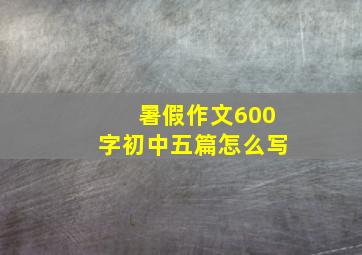 暑假作文600字初中五篇怎么写