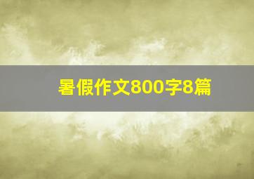 暑假作文800字8篇