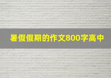 暑假假期的作文800字高中