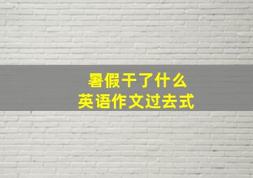 暑假干了什么英语作文过去式