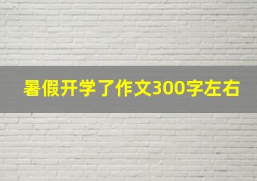 暑假开学了作文300字左右