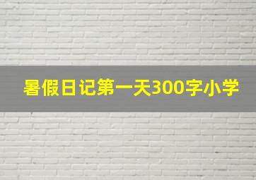 暑假日记第一天300字小学