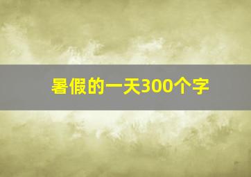 暑假的一天300个字