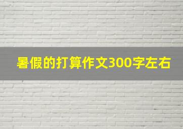 暑假的打算作文300字左右