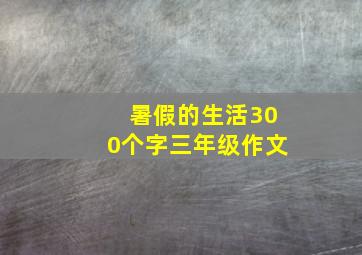 暑假的生活300个字三年级作文