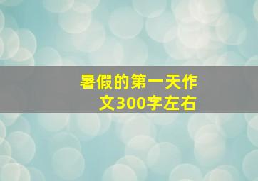 暑假的第一天作文300字左右