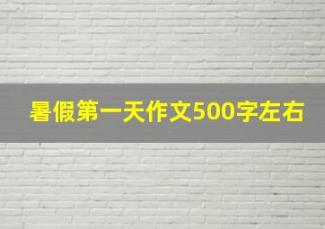 暑假第一天作文500字左右