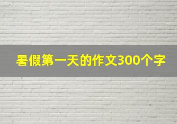 暑假第一天的作文300个字