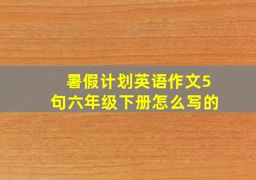 暑假计划英语作文5句六年级下册怎么写的