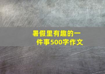 暑假里有趣的一件事500字作文