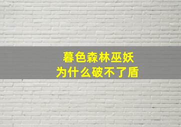 暮色森林巫妖为什么破不了盾