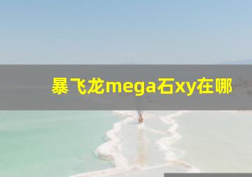 暴飞龙mega石xy在哪