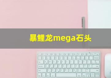 暴鲤龙mega石头