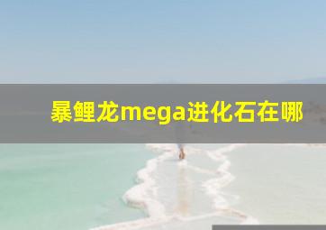 暴鲤龙mega进化石在哪