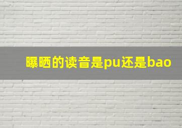 曝晒的读音是pu还是bao