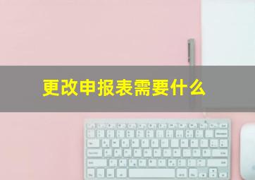 更改申报表需要什么