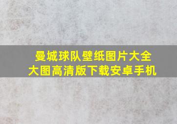 曼城球队壁纸图片大全大图高清版下载安卓手机