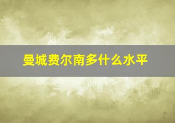 曼城费尔南多什么水平