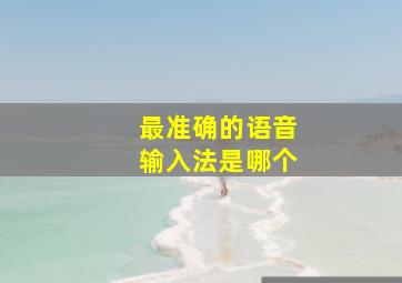 最准确的语音输入法是哪个