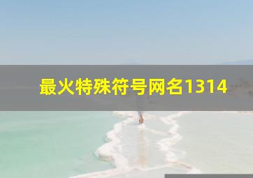 最火特殊符号网名1314