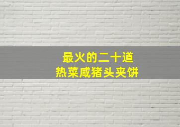 最火的二十道热菜咸猪头夹饼