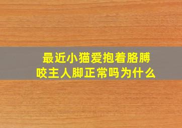 最近小猫爱抱着胳膊咬主人脚正常吗为什么