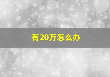 有20万怎么办