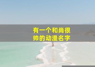 有一个和尚很帅的动漫名字