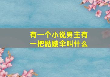 有一个小说男主有一把骷髅伞叫什么