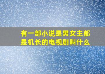 有一部小说是男女主都是机长的电视剧叫什么