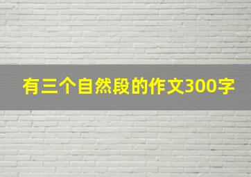 有三个自然段的作文300字