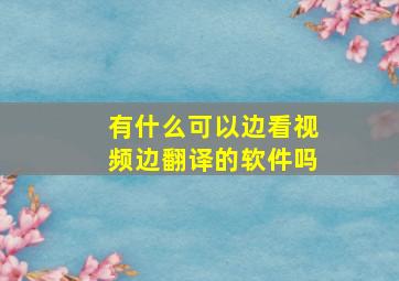 有什么可以边看视频边翻译的软件吗