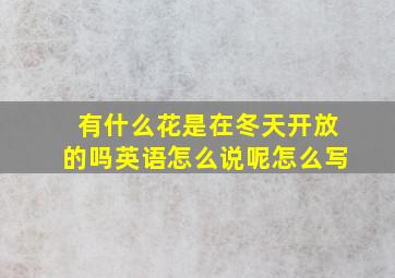 有什么花是在冬天开放的吗英语怎么说呢怎么写