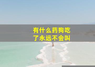 有什么药狗吃了永远不会叫